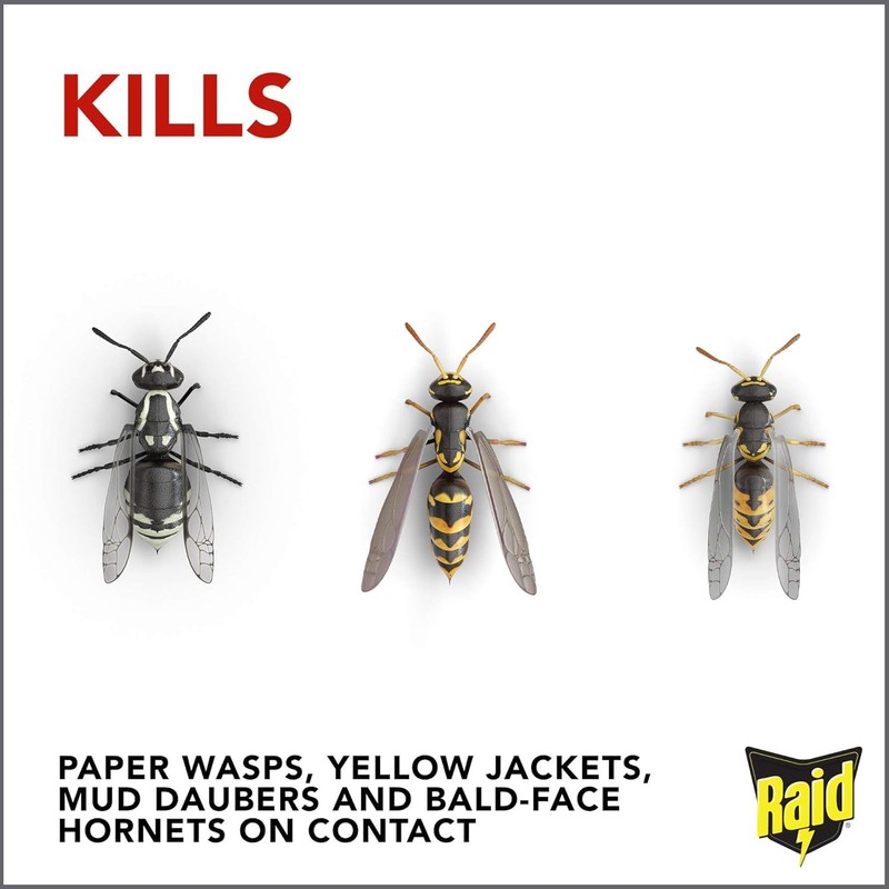 Raid Wasp Hornet Killer Spray 14 Ounce (Pack of 2)