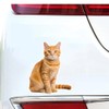 2pcs Cute Orange Tabby Cat Vinyl Decal 4.92''x5.91'' Weatherproof Self-Adhesive