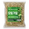 Dried Moringa Leaves 300g Moringa Leaf Tea / 건조 모링가 잎 300g 모링가잎차