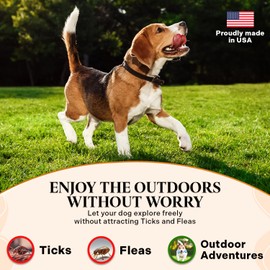 Healthy Dogma - Flee Flea Flee Natural Yeast & Garlic Powder Formula to Keep Fleas and Ticks Away from Dogs - All Natural with No Harmful Chemicals (6 Oz)