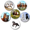 Merchandise for Fans Fridge Magnets for Horses Design Black Foal