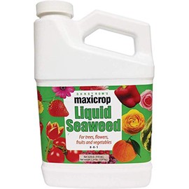 Maxicrop Original Liquid Seaweed, 1 Gallon (Packaging May Vary)