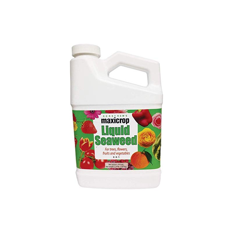 Maxicrop Original Liquid Seaweed, 1 Gallon (Packaging May Vary)