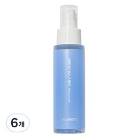 Partner_Reference 더샘 스키니 밸런스 수분 미스트 75ml 6개 / 더샘 스키니 밸런스 수분 미스트 75ml 6개
