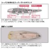Daiwa Morethan Monster Slider 200F-LI LISG Clear Konoshiro Laser Impact