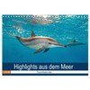 Highlights from the Sea Diving Calendar (Wall Calendar 2026 DIN