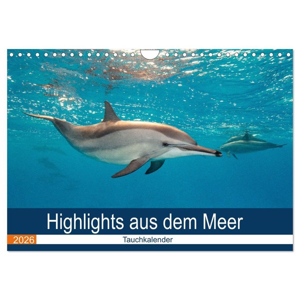 Highlights from the Sea Diving Calendar (Wall Calendar 2026 DIN