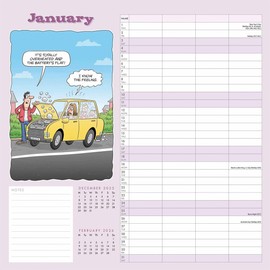 Carousel Worldwide, Funny Side of Life 2026 Wall Planner