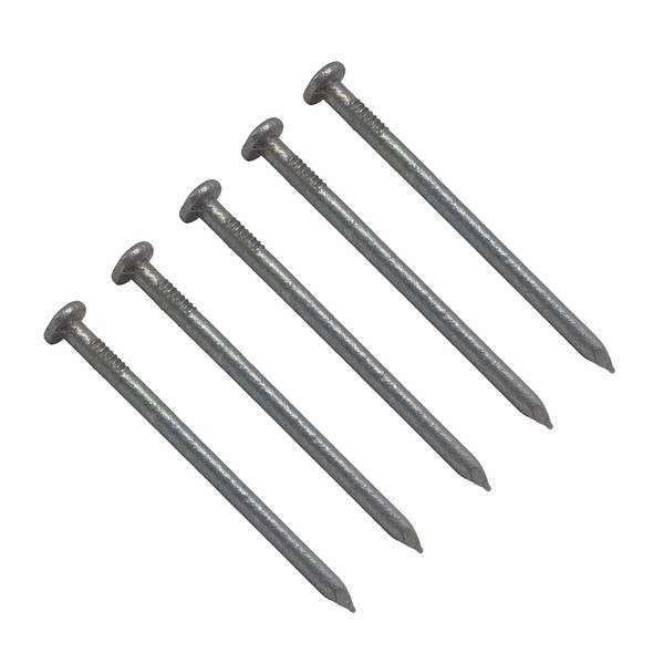 TERF® 65mm X 3.35mm Galvanised Round Wire Nails 65mm (2.5