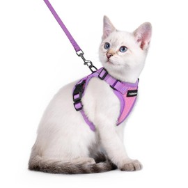 rabbitgoo Cat Harness and Leash Set, Escape Proof Soft Adjustable Vest Harnesses for Outdoor Walking, Easy Control Breathable Kitten Jacket with Reflective Strips, Pink & Purple, XXS