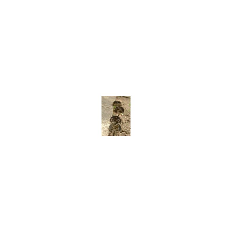 Cast Brass Mint Herb Label