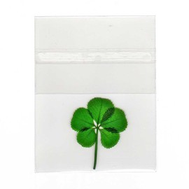 Clovers Online Good Luck Pressed and Preserved 5 Leaf Clover in Cello Sleeve
