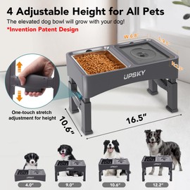 UPSKY 3-in-1 Elevated Dog Bowls Slow Feeder, 4 Height Adjustable Raised Dog Bowl Stand No Spill Dog Water Bowl Dispenser, Stainless Steel Dog Food Bowl and Water Bowl for Small Medium Dogs, Grey
