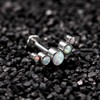 hengkaixuan 16G G23 Titanium Flat Back Labret Studs Internal Thread