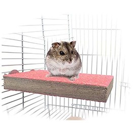 Bird Perch Stand Nature Wood Platform Toy Playground Paw Grinding for Pet Parrot Hamster Squirrel Accessories Stands Exercise Toy 1PCS