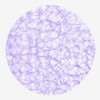 Sizoweb Shapes - Place Mats - Placemats - Decorative Pads