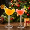 Bird-Shaped Cocktail Glasses 5oz/150ml – Creative Clear Glass Goblets, 2pc