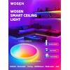 2 Pack 12 Inch Smart Ceiling Light Fixture, RGB LED
