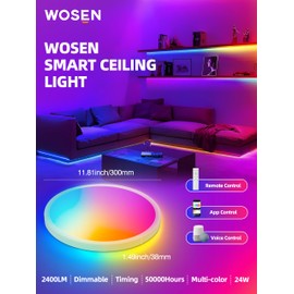 2 Pack 12 Inch Smart Ceiling Light Fixture, RGB LED Flush Mount Ceiling Light with Night Light, 24W 2400LM Ultra-Slim Ceiling Light with Remote, 16 Million DIY Colors, Works with Alexa/Google Home