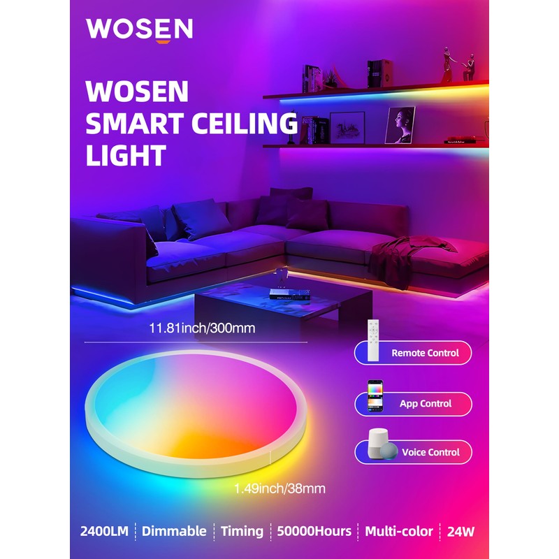 2 Pack 12 Inch Smart Ceiling Light Fixture, RGB LED