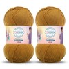 Troyarn Cotton Love (2- Skeins Pack) 55% Cotton 45% Acrylic