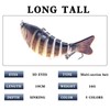 Robotic Fishing Lure - Angling Baits for River,Professional 3D Robotic