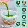 Aprikalife Matcha Orgánico En Polvo Certificado, 30 G