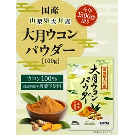 SPANION 大月ウコン パウダー 100g 栽培期間中 農薬不使用 自社農薬検査合格 ターメリックパウダー 国産 ウコン 粉末 秋ウコン