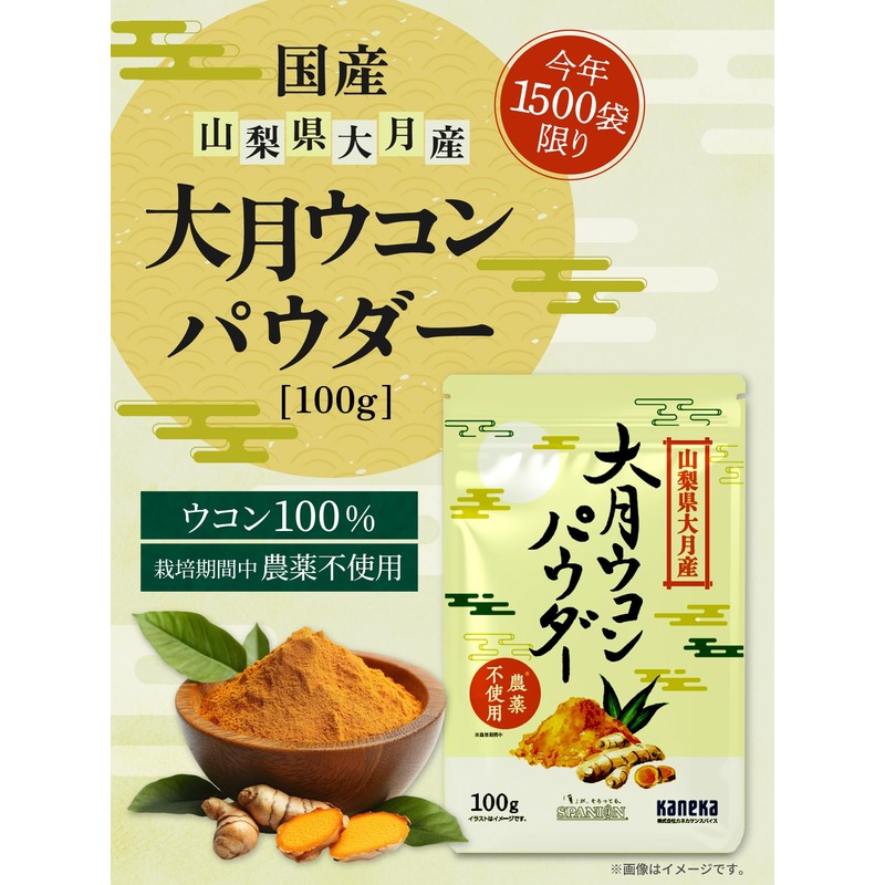 SPANION 大月ウコン パウダー 100g 栽培期間中 農薬不使用 自社農薬検査合格 ターメリックパウダー 国産 ウコン