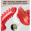 IPTPAS Dog Chew Toy for Aggressive Chewers, Tough Natural Rubber