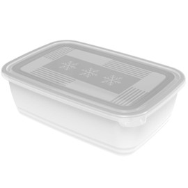 Rotho Freeze Freeze Freezer Box 3.7 L with Lid, Plastic (PP) BPA-Free, Transparent, 3.7 L (29.5 x 20.0 x 9.2 cm)
