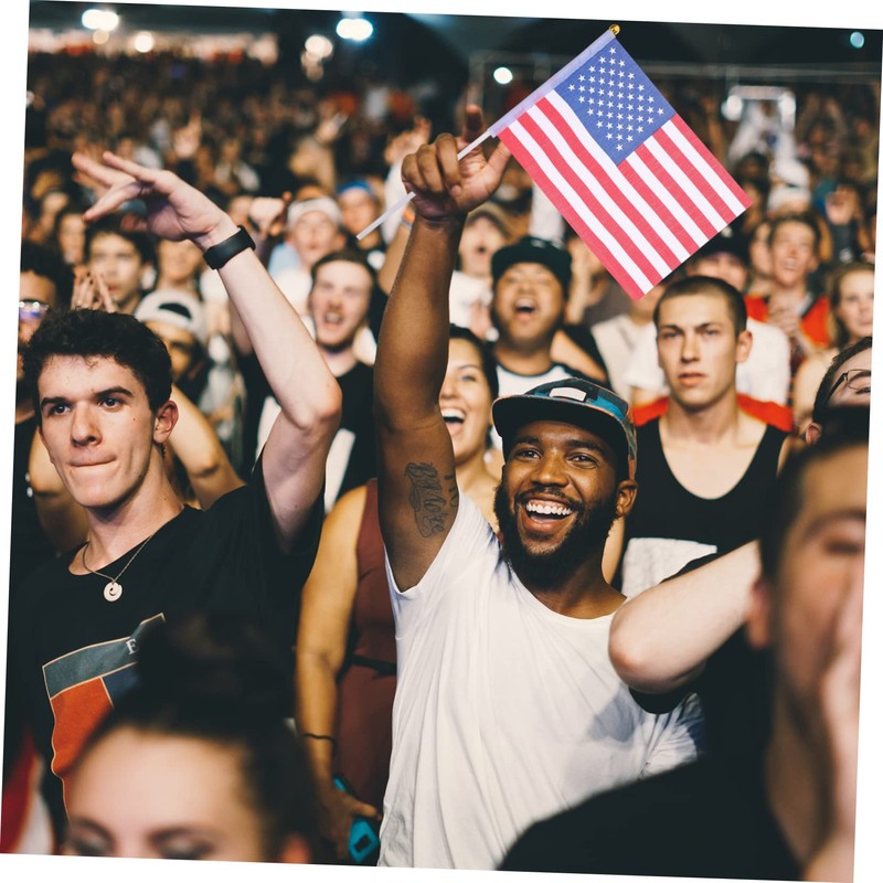 FUNOMOCYA Hand Waving Mini Flags Set 25pcs Usa Flag Polyester