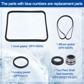 TJUNSENHARSH SP2600 Hayward Super Pump Seal Kit Replacement for Hayward Go Kit 3. Fits SP1600, SP2600X, Regular, X, VSP Models. SPX1600TRA SP1600Z2 PS-201 SPX1600R SPX1600S SP2607x10