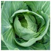 Everwilde Farms - 1000 Vates Collard Seeds - Gold Vault