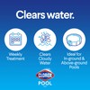 Clorox® Pool&Spa™ Swimming Pool Crazy Clarifier, Creates Crystal Clear Pool