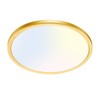 hepside 1PACK Flush Mount LED Ceiling Light Fixture Golden, 12Inch