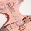 Wild One Harness 2.0 - Extra Small - Blush