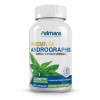 Palmara Health Andrographis by Natural Cure Labs – 1,200mg Immune Support Supplement, 120 Vegan Capsules