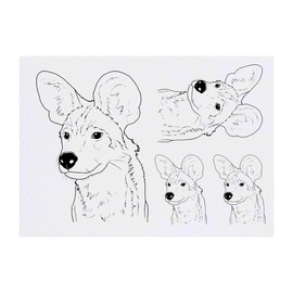 4 x 'African Wild Dog Face' Temporary Tattoos (TO00071790)