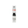 ABB SH201-C32 Miniature Circuit Breaker, 1 Pole, 32 Amp (ABB2CDS211001R0324)