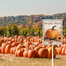 Welcome To Our Pumpkin Patch Yard Sign With Stake Fall Decor Reflective Aluminum Lawn Sign Stand For Home Harvest Thanksgiving Pumpkin Spice Season Outdoor Autumn Decorations (8x12) IN