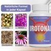 Urotonal Urinary Tract Support Dietary Supplement, 20 Capsules, with Saw