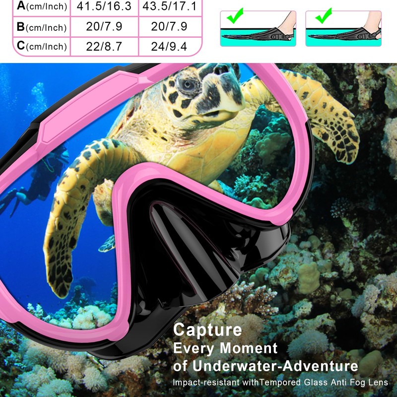 EMSINA Dry Snorkel Set,Panoramic Wide View,Anti-Fog Scuba Diving Mask,Professional Snorkeling