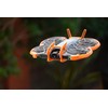 Neo 2 Drone Protection Accessories Kit for Neo 2– Propeller