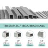 NEU MASTER NBS1850 Premium Quality Standard T50 Staples and 18GA