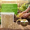 Natural Wheat Straw 3 LB, Dry Clean Soft Wheat Straw