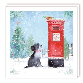 Tracks Publishing Charity Christmas Cards - Dog and Robin Waiting by the Postbox - Eco-Friendly - Pack of 5 Cards