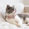 Cwyza 4 Pack Cat Bow Tie Collars with Bell, Adjustable