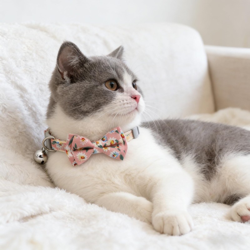 Cwyza 4 Pack Cat Bow Tie Collars with Bell, Adjustable