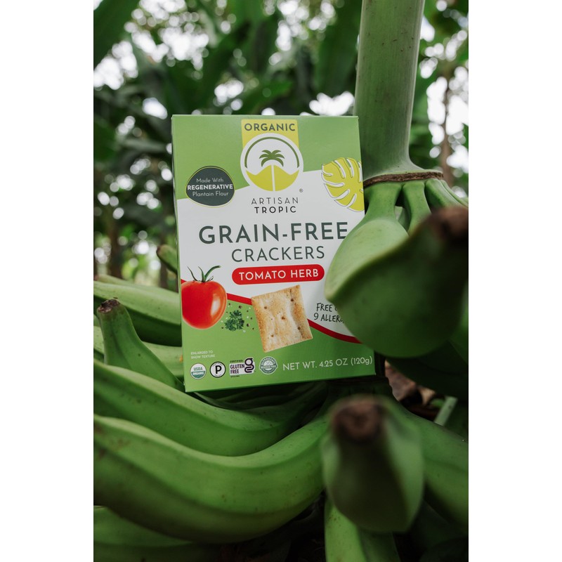 Artisan Tropic Tomato Herb Crackers, Gluten Free, Grain Free, 4.25
